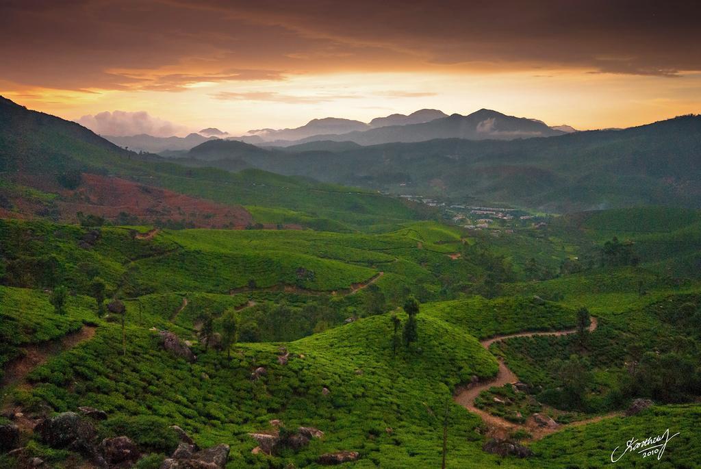 Athens Cottage Munnar Exteriér fotografie